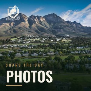 Photo gallery tile